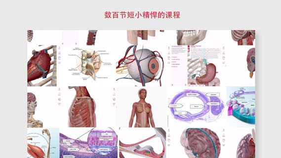 解剖学和生理学iOS破解版下载