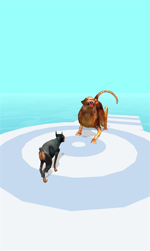 宠物跑3D官方版下载预约
