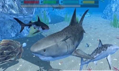 终极鲨鱼攻击ios版