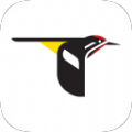 Merlin Bird ID鸟类识别app软件