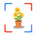 花朵识别软件免费app