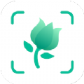 拍照识别植物软件app手机版