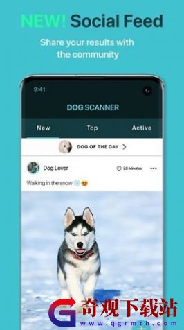 狗狗鉴定器app,狗狗鉴定器app手机最新版